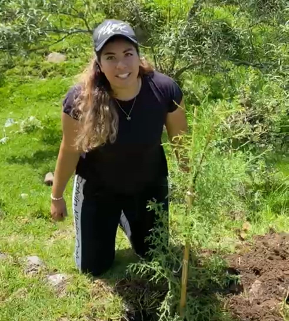 Más de 40% ha disminuido el flujo de ríos y arroyos en Puebla por deforestación