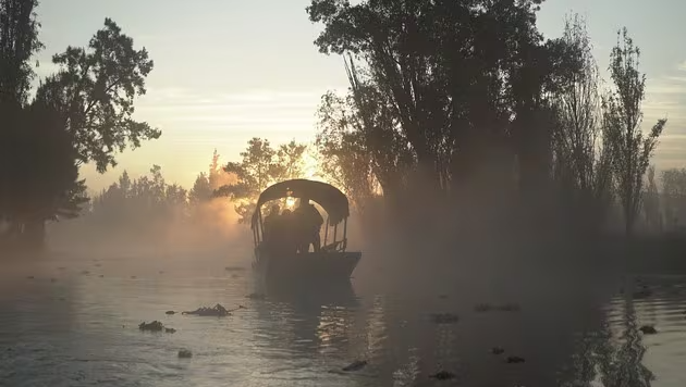“Arca Tierra”, en Xochimilco