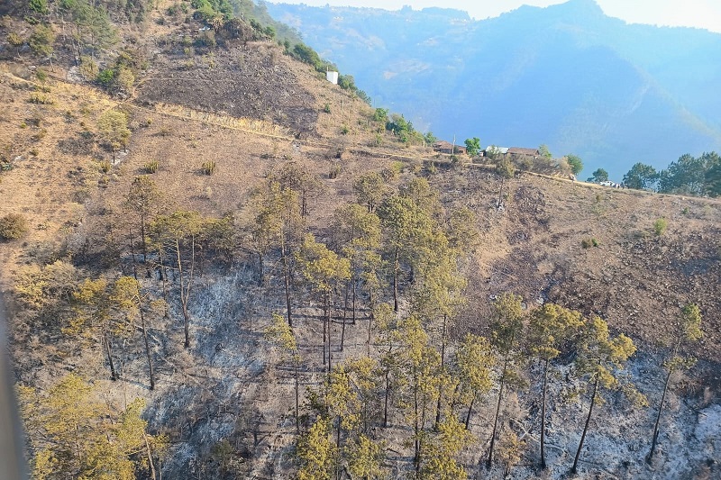 Va a un 50% de liquidación el incendio forestal en Zacatlán