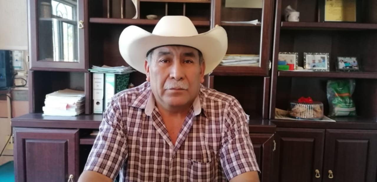 Zafra 2024-2025, a punto de culminar
