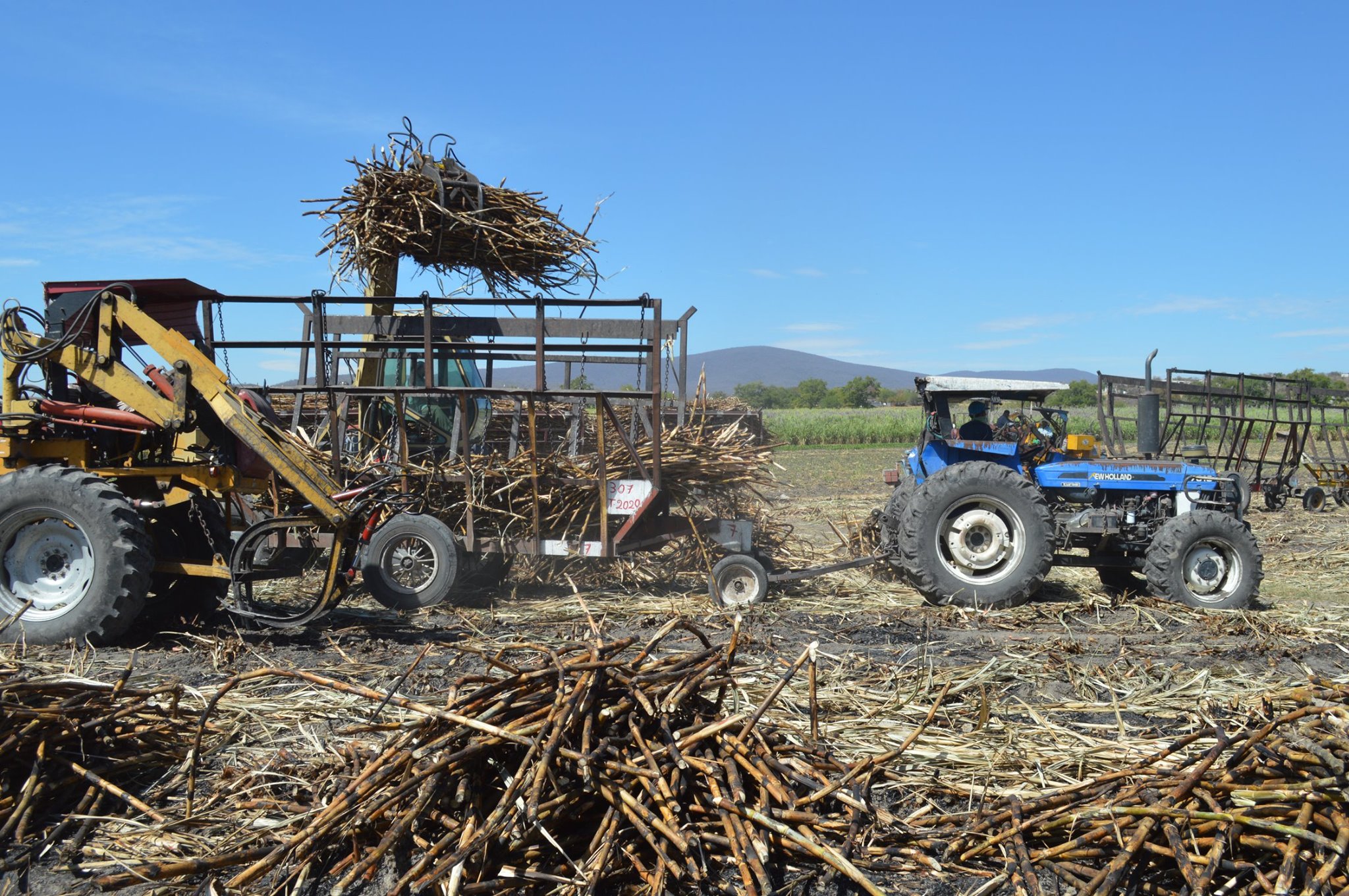 Con inicio de la zafra se reactiva economía en la zona sur de Puebla