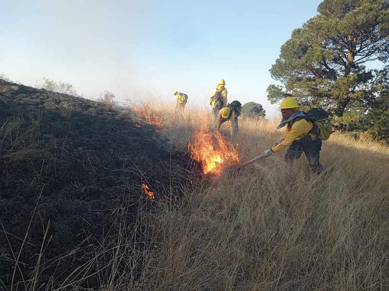 También liquidan el incendio forestal en el Cerro Zapotecas