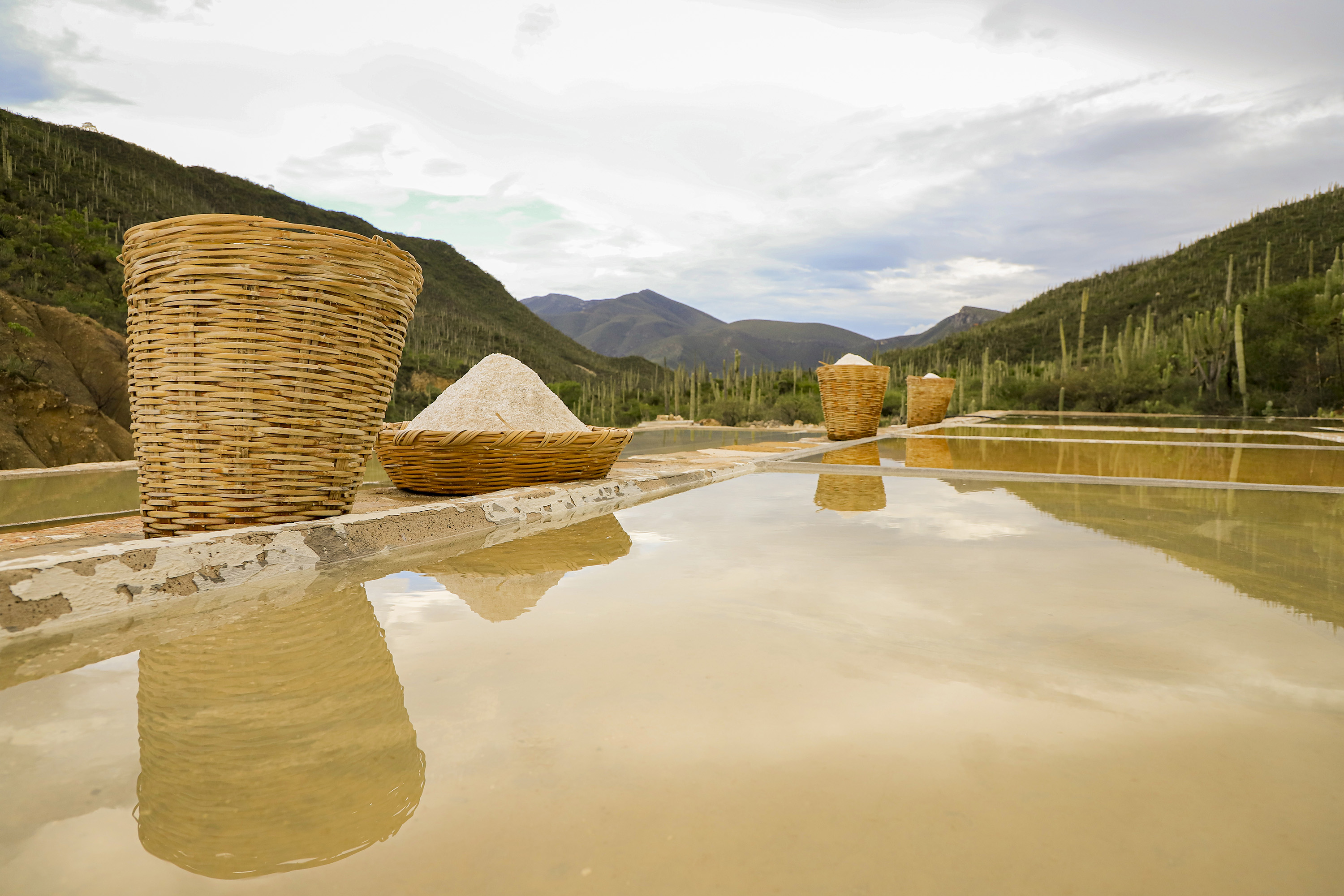 Presentan oferta turística de Zapotitlán Salinas