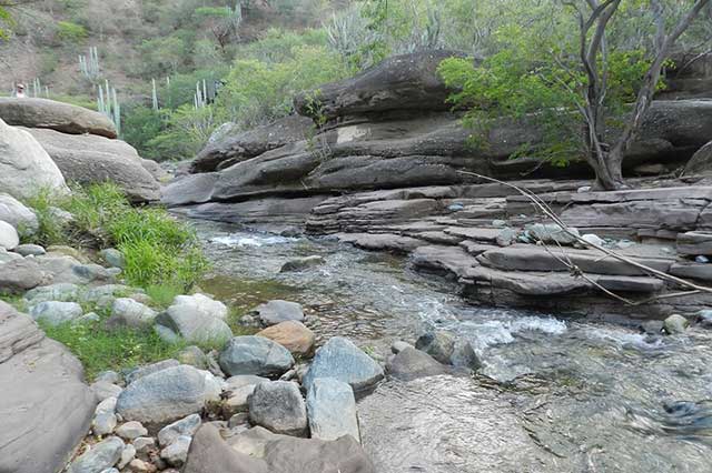 Promueven Zapotitlán, Tecali y Zacapoaxtla para Pueblos Mágicos: Turismo