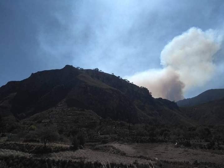 Se registra incendio en cerro del municipio de Zautla