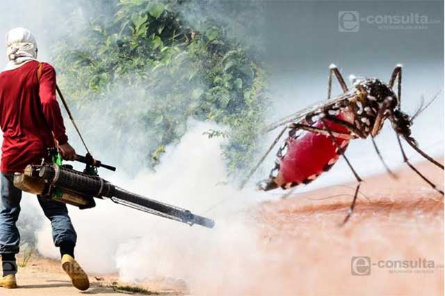 Previenen en Tehuacán aumento de población del mosquito transmisor de zika