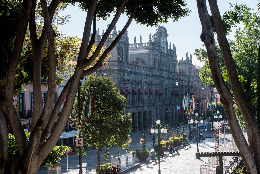 Podarán árboles del zócalo de Puebla ante riesgo para transeúntes