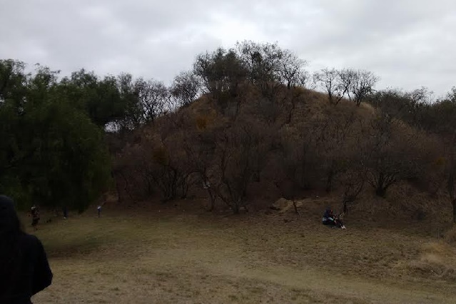 Abrirán museo se sitio en zona arqueológica de Tepatlaxco