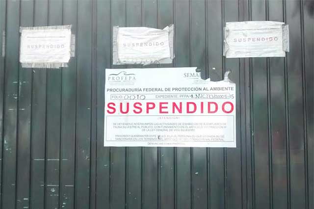 Por cuestiones políticas sigue cerrado zoológico de Tehuacán