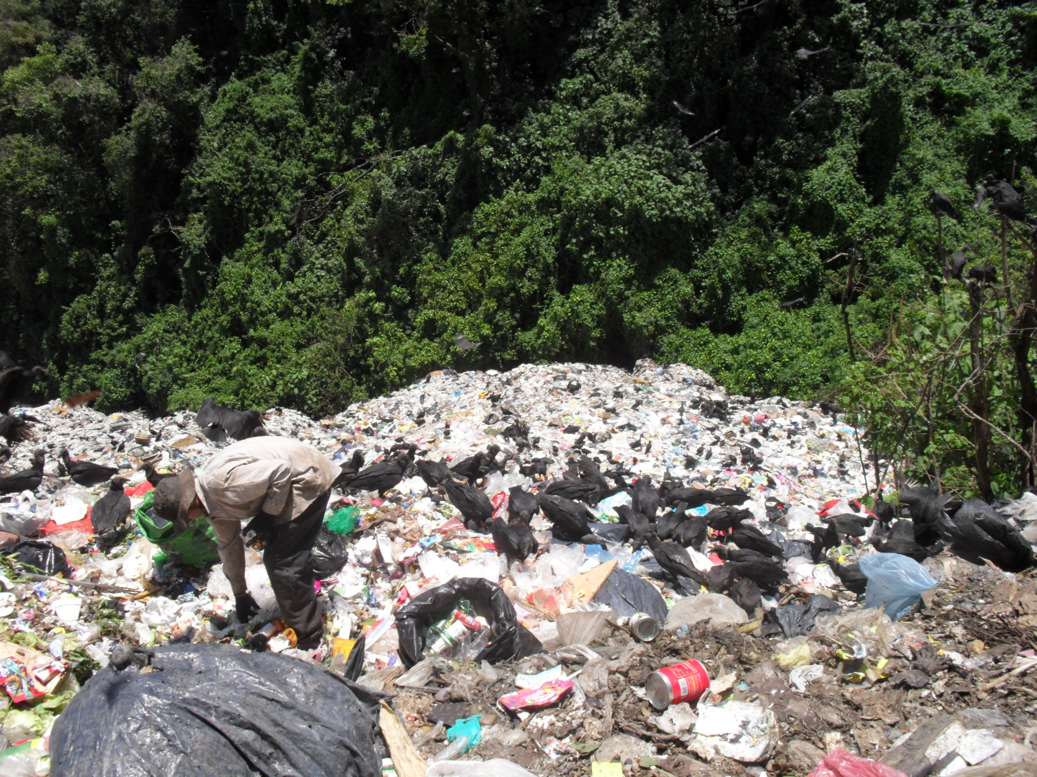 Enviarán basura de Xicotepec a Venustiano Carranza para cerrar El Zoquital